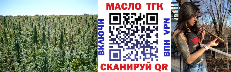 Дистиллят ТГК гашишное масло  Купить где  Сусуман 