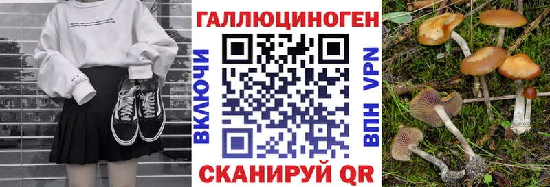 Галлюциногенные грибы Psilocybe  Купить  Сусуман 