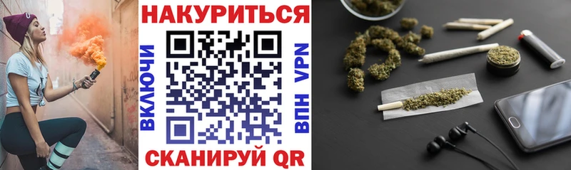 Купить  Сусуман  Канабис индика 